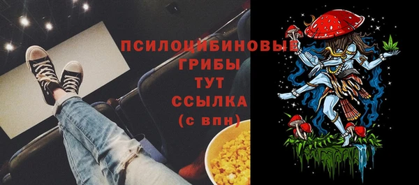 стаф Сатка