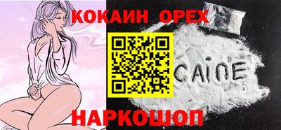 тгк Кингисепп