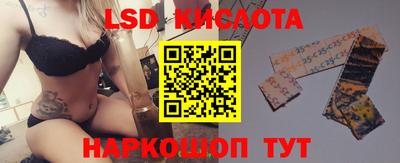 тгк Кингисепп