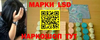 тгк Кингисепп