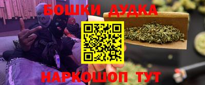 тгк Кингисепп