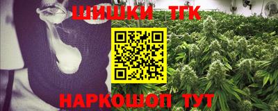 тгк Кингисепп