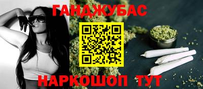 тгк Кингисепп