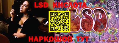 стаф Кинель