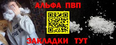 тгк Кингисепп