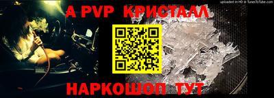 тгк Кингисепп