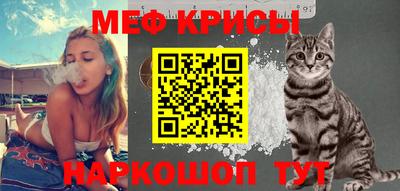 стаф Кинель