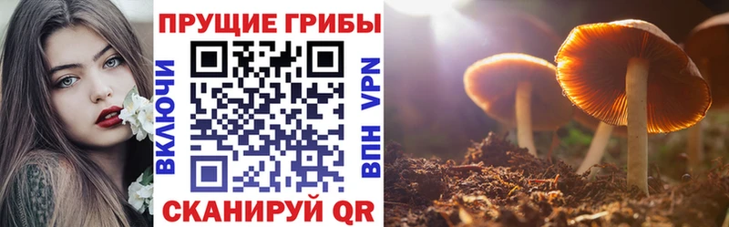 Галлюциногенные грибы мицелий  Кохма 