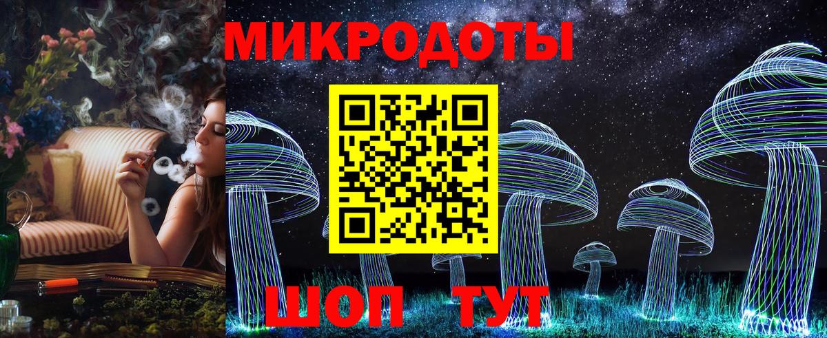 Кохма  Псилоцибиновые грибы Psilocybine cubensis  Вход с VPN 